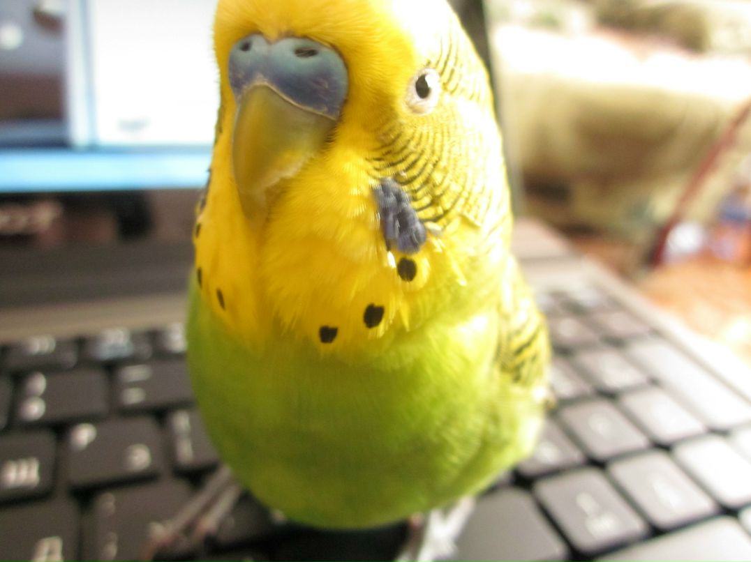 Светлана Заварина Алексеевна | Павлодар