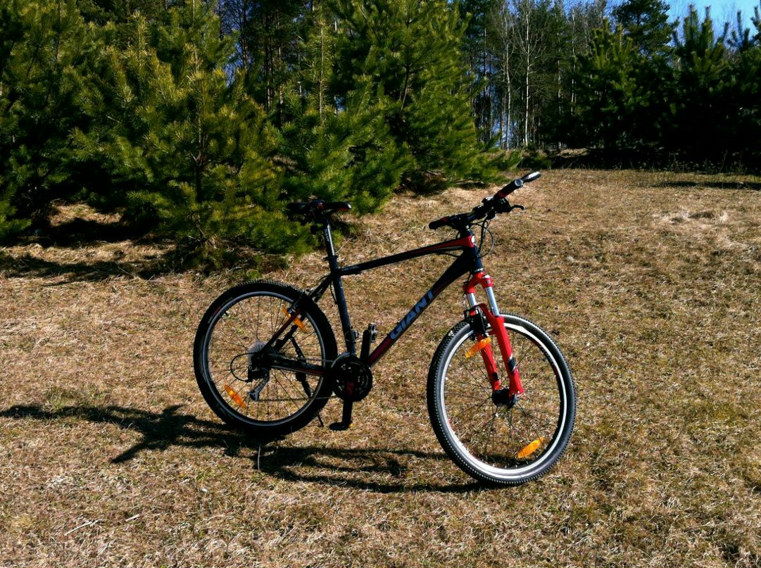 Ilya Koskelainen | Санкт-Петербург