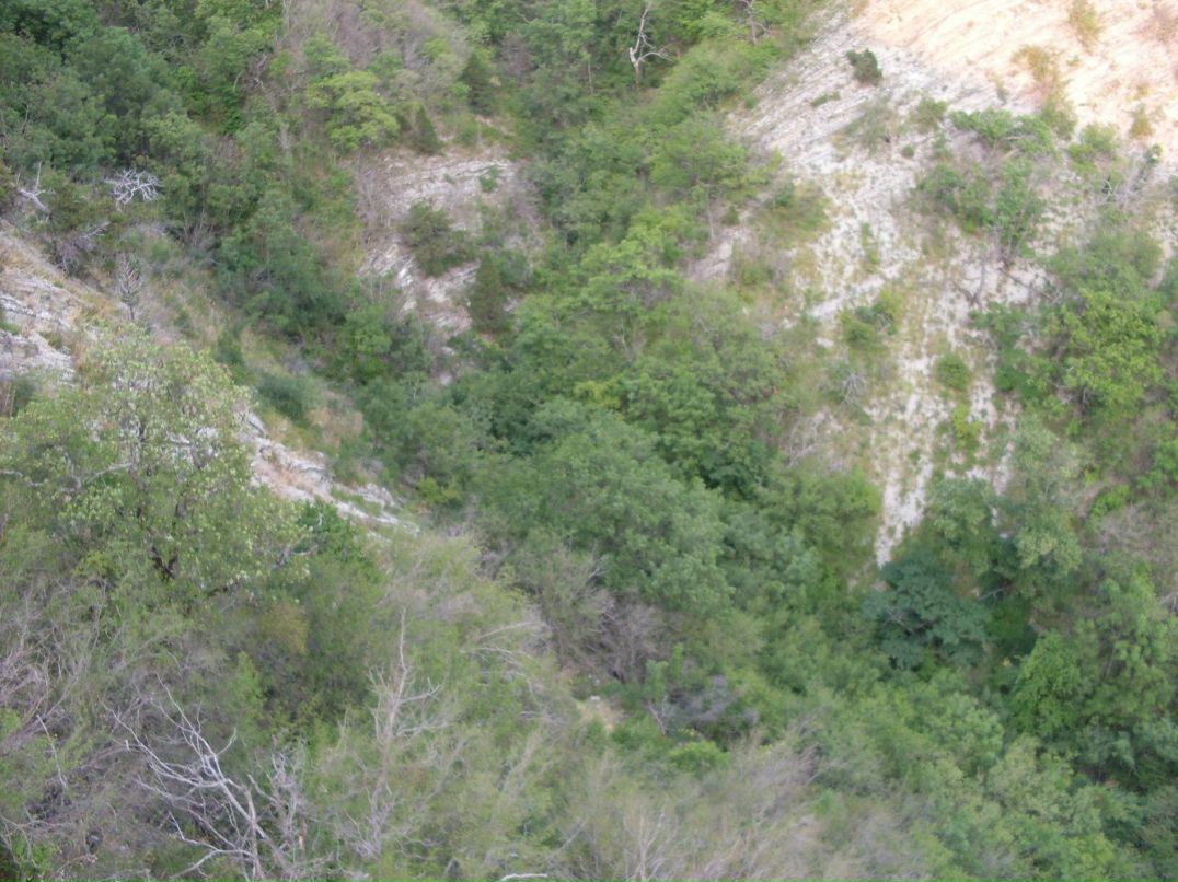 Олег Суслов | Санкт-Петербург