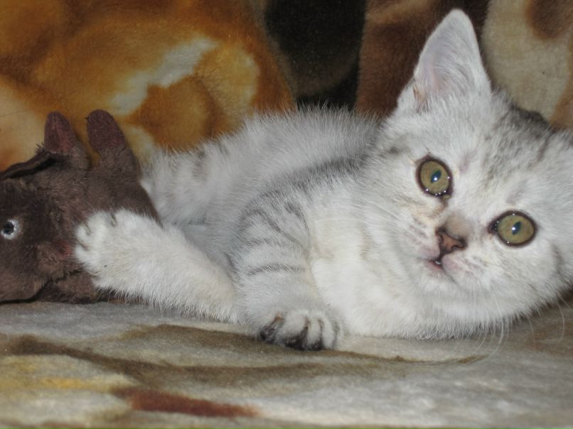 Ольга Здоровцева | Санкт-Петербург