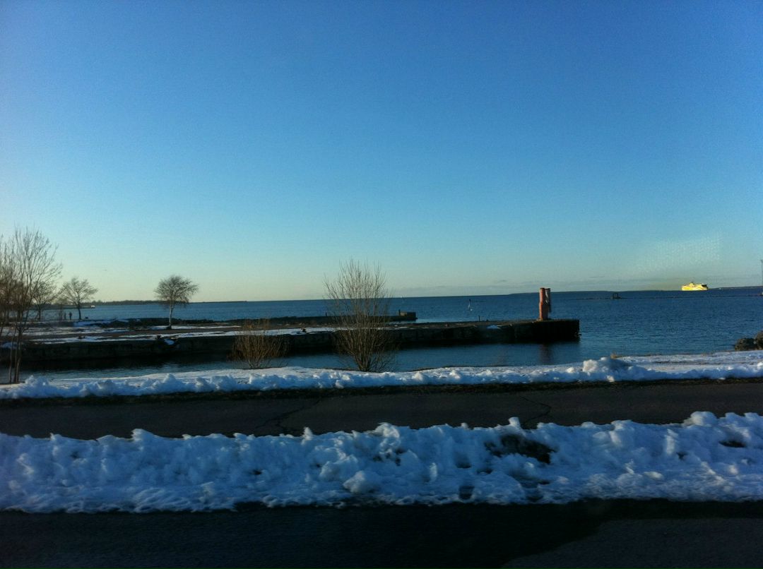 Антон Догадаев | 