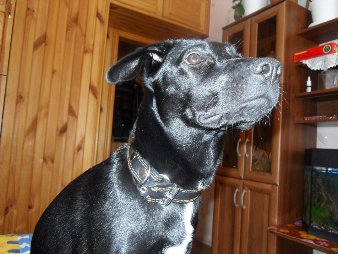 Саня Щанькин | Малоярославец