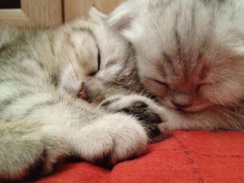 Лев Аньков | Владивосток