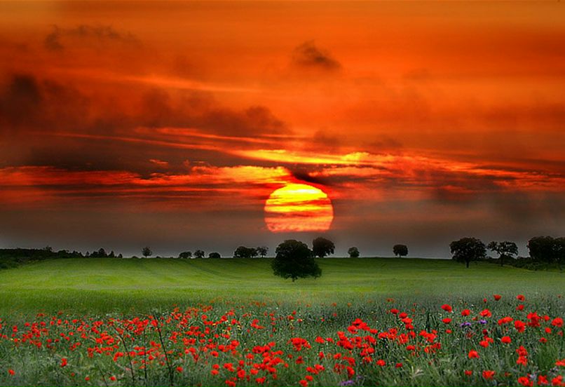 Сергей Солнцев | Тверь