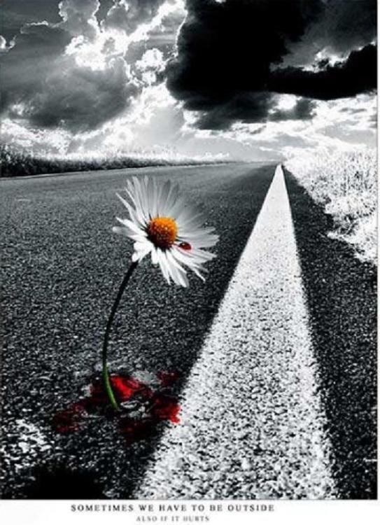 Настя Блищик | Киев