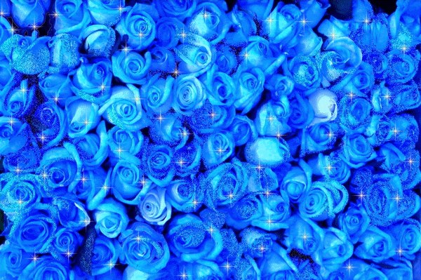 Сергей Киргизов | Самара