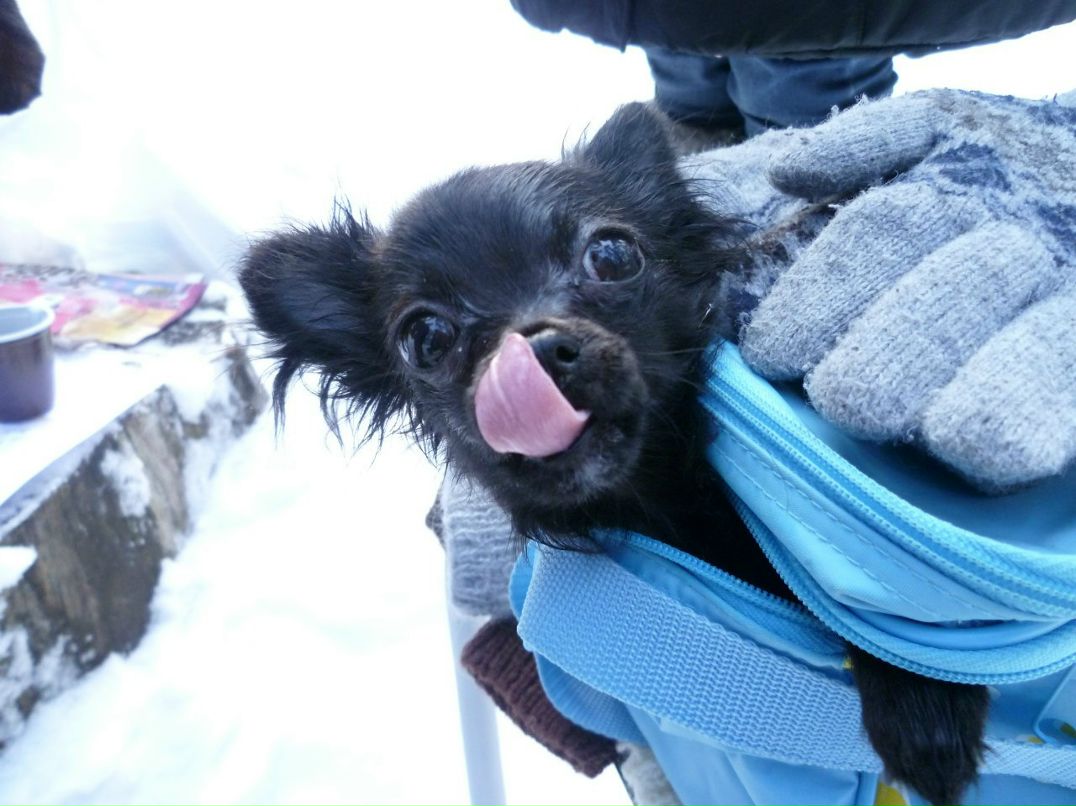 Слава Руднев Excellent | Тольятти