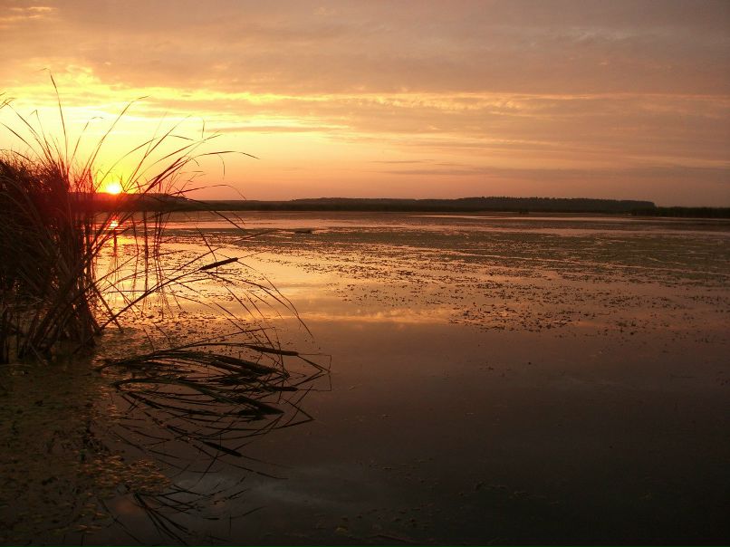 Сергей Потапов | Кузнецк