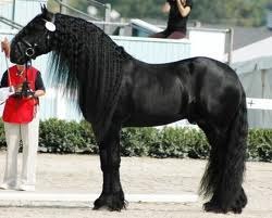 Марина Жданова *Сделана _С_Любовью* | Одесса