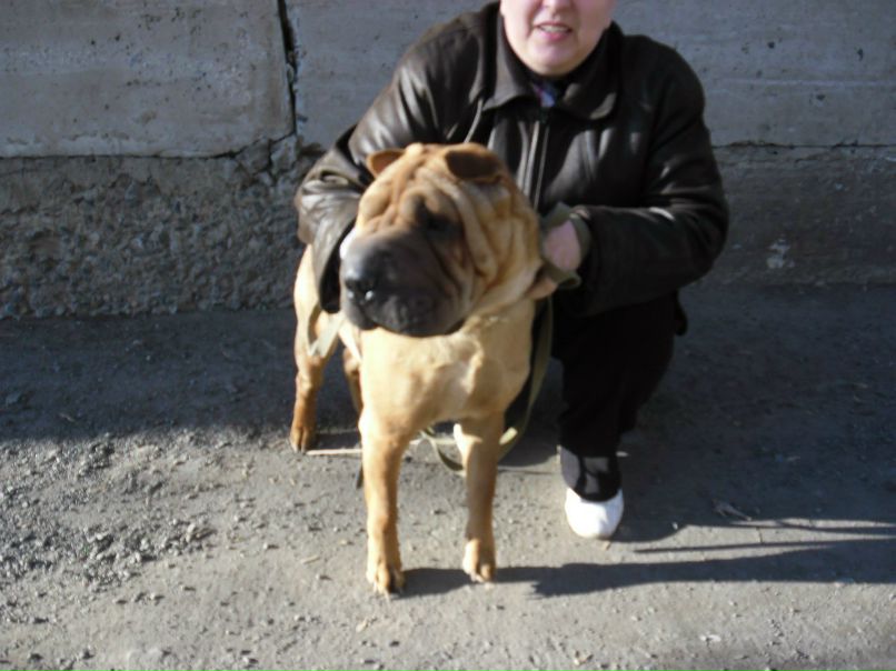 Ирина Даниловская | Новосибирск