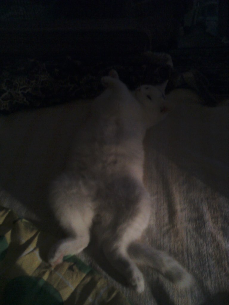 Юлия Рябинина | Кириши