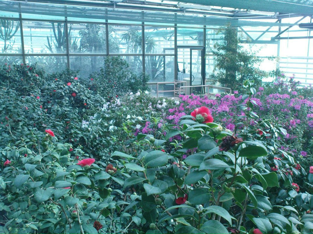 Pushing Limts | Киев