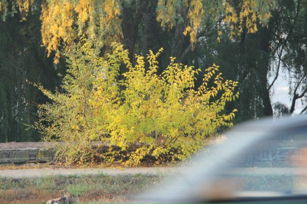 №15, Владимир Голубь, 73 года, Днепр (Днепропетровск) №15, Владимир Голубь, 73 года, Днепр (Днепропетровск)