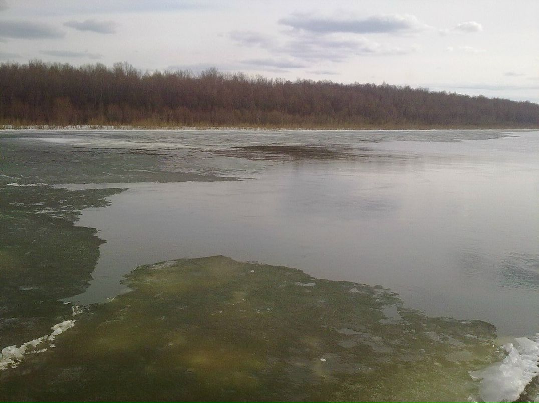 Влад Ковальчук | Мена