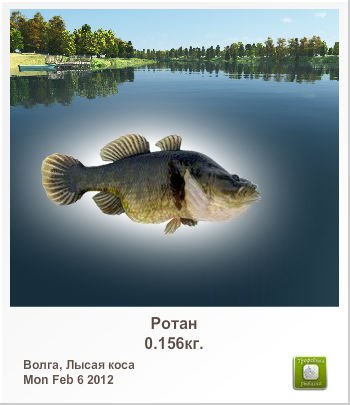 Дима Алфёров | Сыктывкар