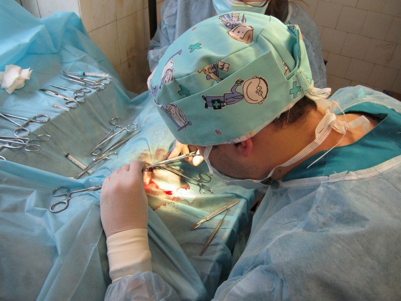 Камран Гаджиев | Москва