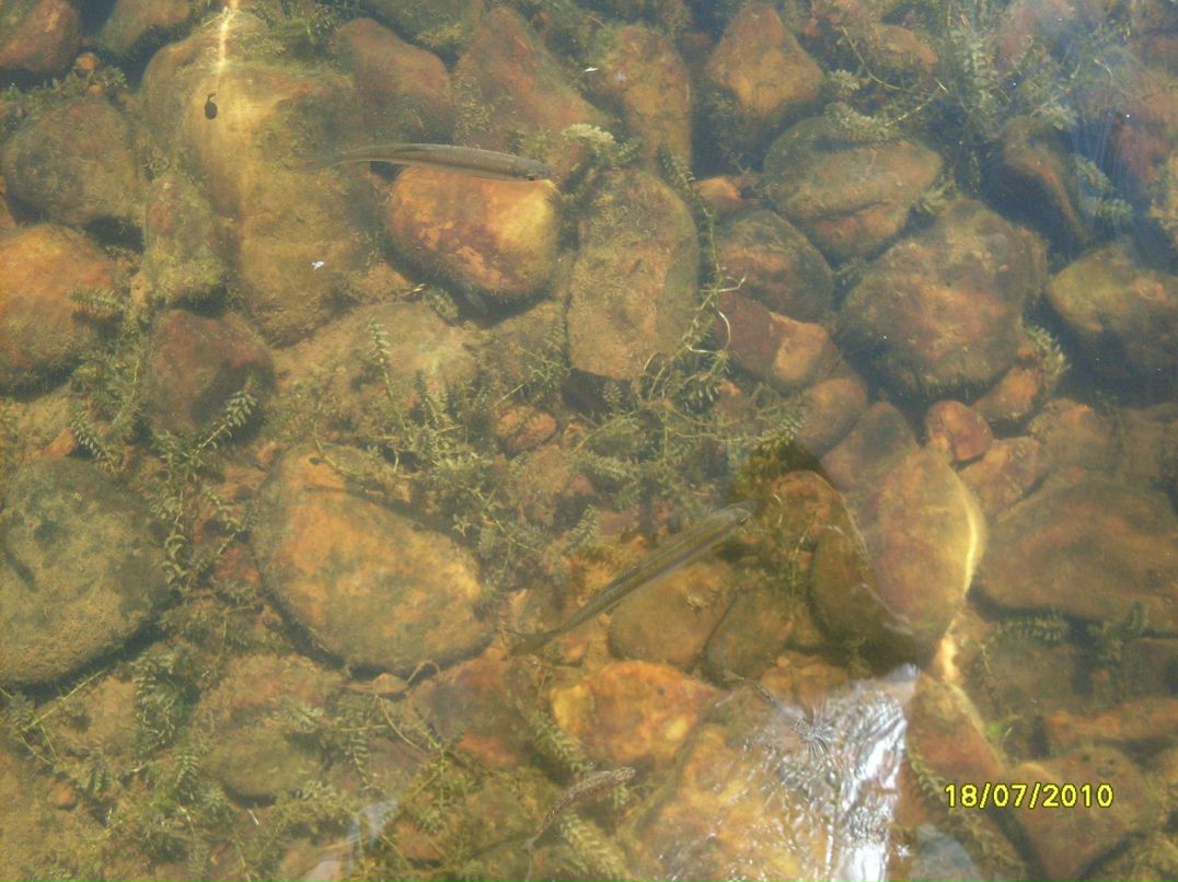 Марина Фасхиева | Набережные Челны