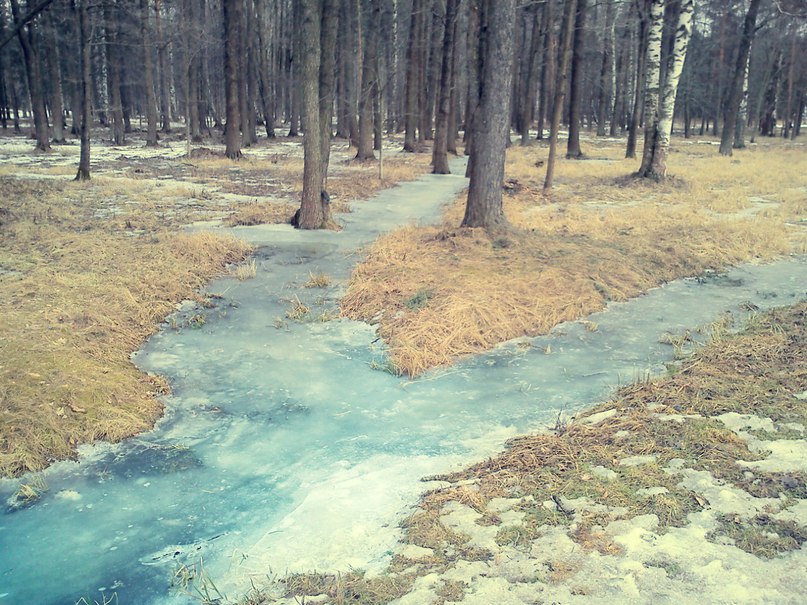 Валентина Хоружая | Санкт-Петербург