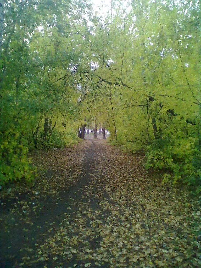 Василий Хребтов | Каменск-Уральский