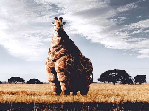 №38, Антон Возный, 40 лет, Надым №38, Антон Возный, 40 лет, Надым