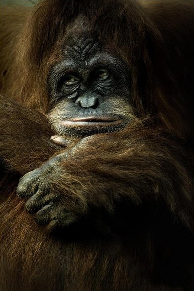 Виктор Жегалов Анатольевич | Днепр (Днепропетровск)