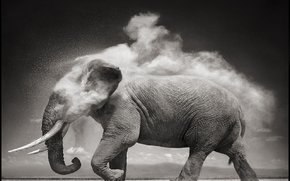 Мария Кашинская | Москва