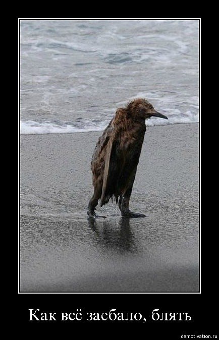 Юрий Васильчук | Киев