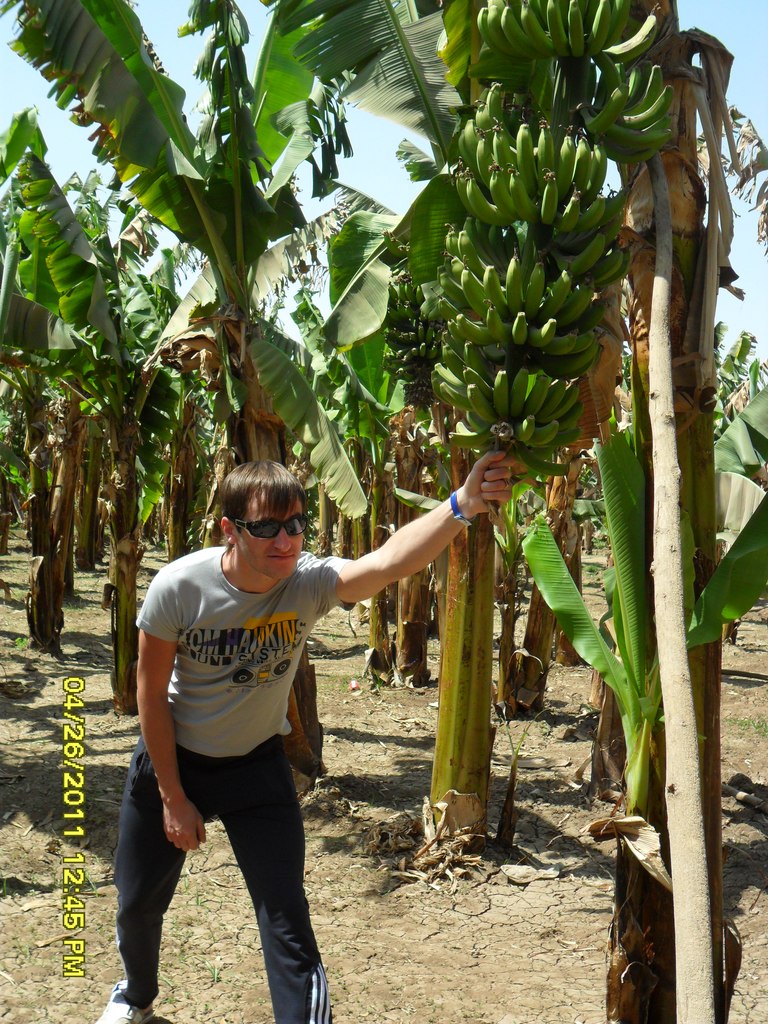 Антон Котосонов Игоревич | Новомосковск