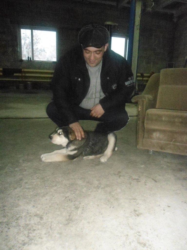 Arshak Manukyan | Тюмень