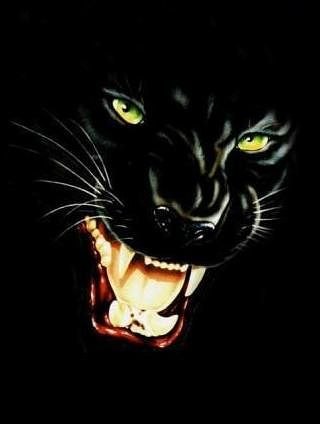 Дима Joker | Санкт-Петербург