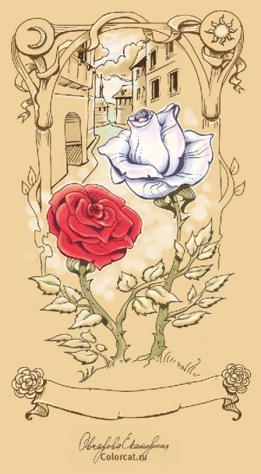 Катя Тимошек | Запорожье