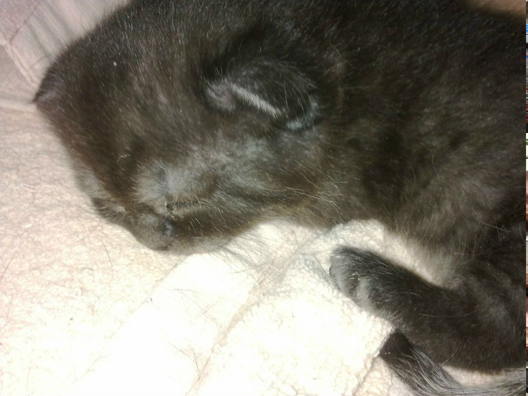 Мария Августинович | Тюмень