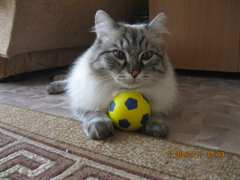 Елена Горбунова | Искитим