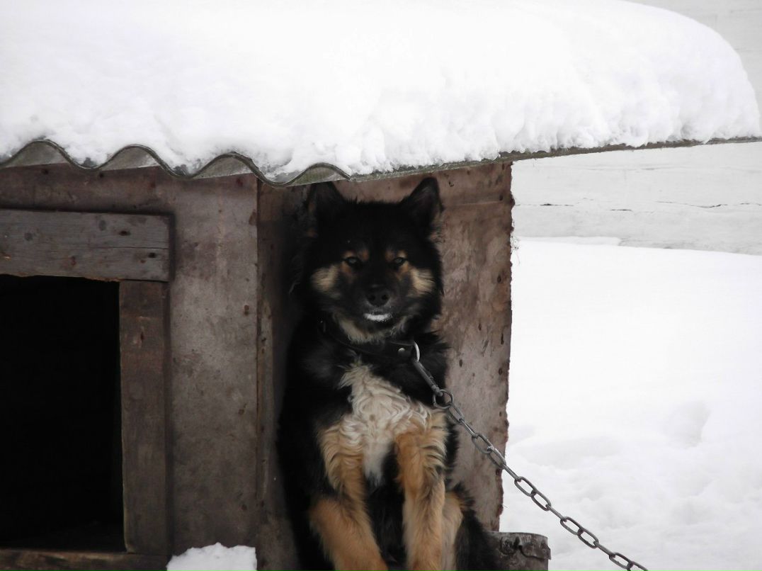 Валерій Ясиновий | Малая Антоновка