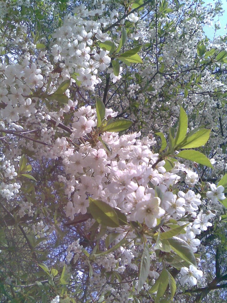 Александра Иртикеева | Рязань