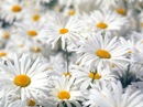 Фотография Дейнеги Кати