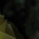 №134, Дашуля Андреева, Москва №134, Дашуля Андреева, Москва