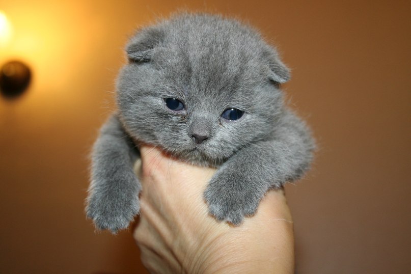 Марина Гордеева | Санкт-Петербург