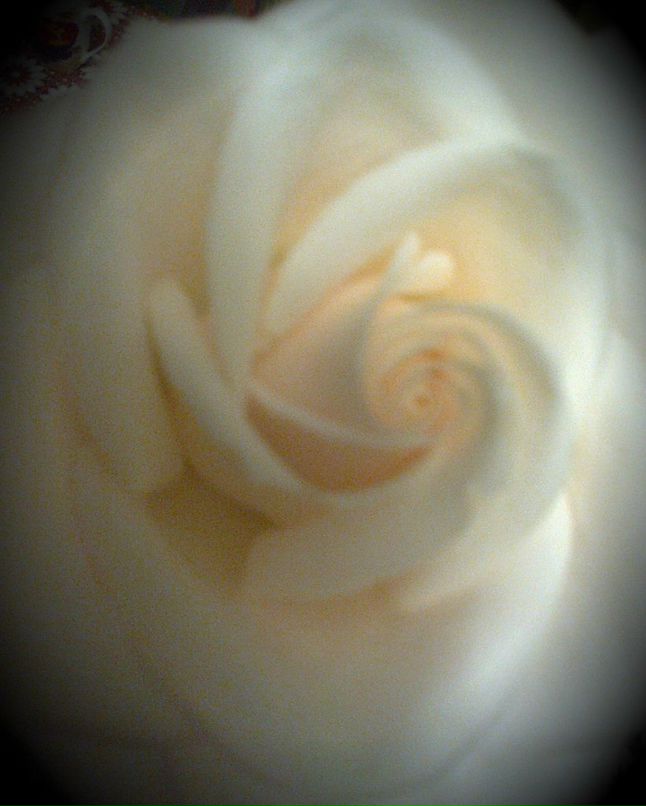 Юлия Богданова Николаевна | Губкинский