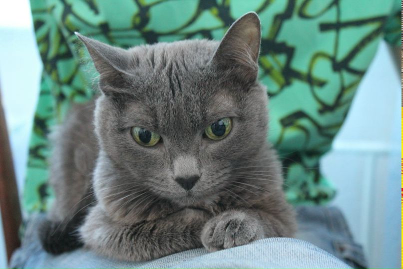 Максим Ящук | Томск