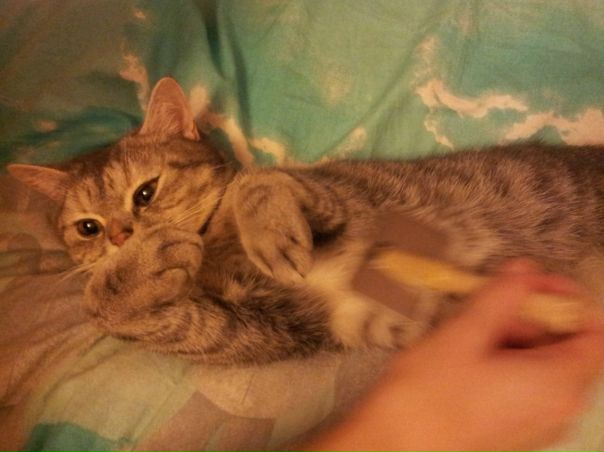 №64, Ксения Жиголкина, Павлодар №64, Ксения Жиголкина, Павлодар