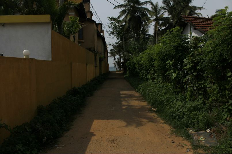 Марго Шангареева | Санкт-Петербург