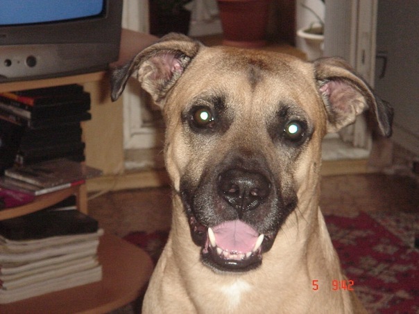 №27, Анжелика Рыбакова, Кириши №27, Анжелика Рыбакова, Кириши