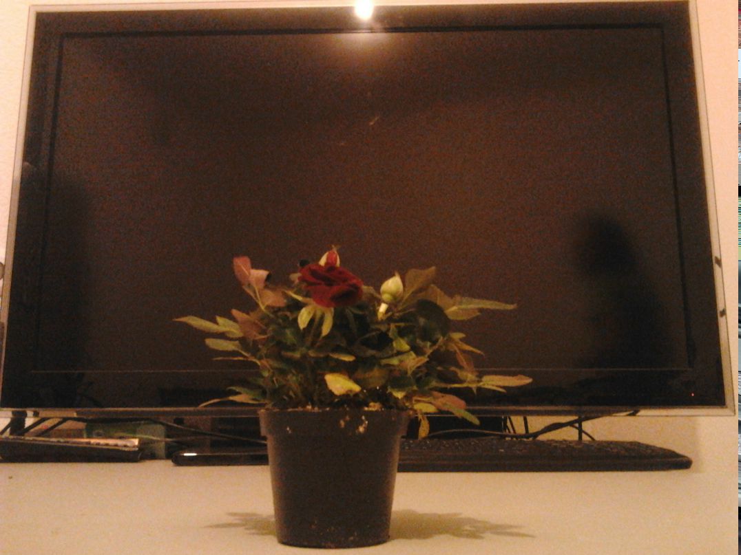 Виталий Гречников | Екатеринбург