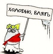 №97, Дарья Филина, Москва №97, Дарья Филина, Москва