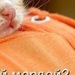 Кристина Илькина фотография #36