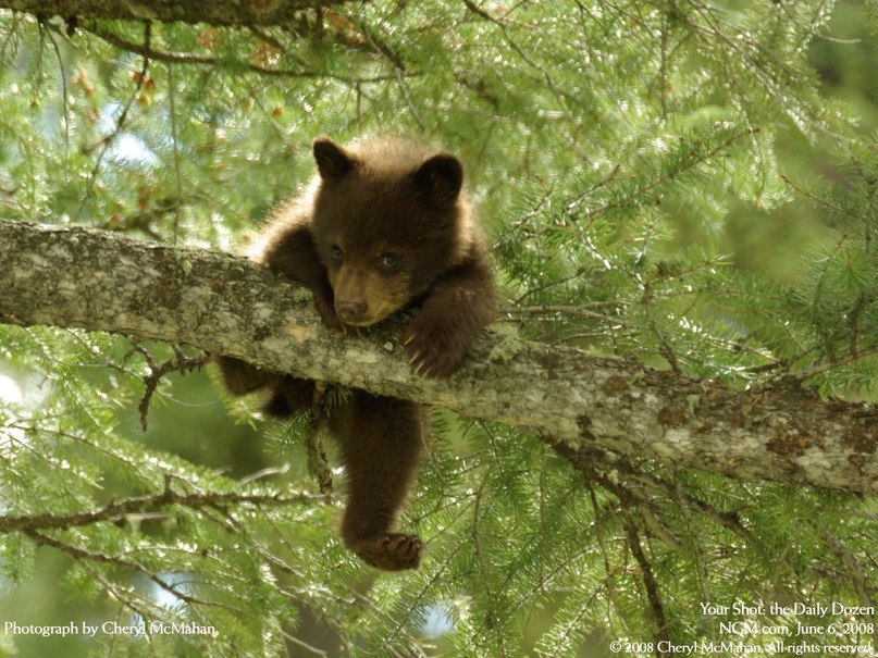 Люция Валеева | Ижевск