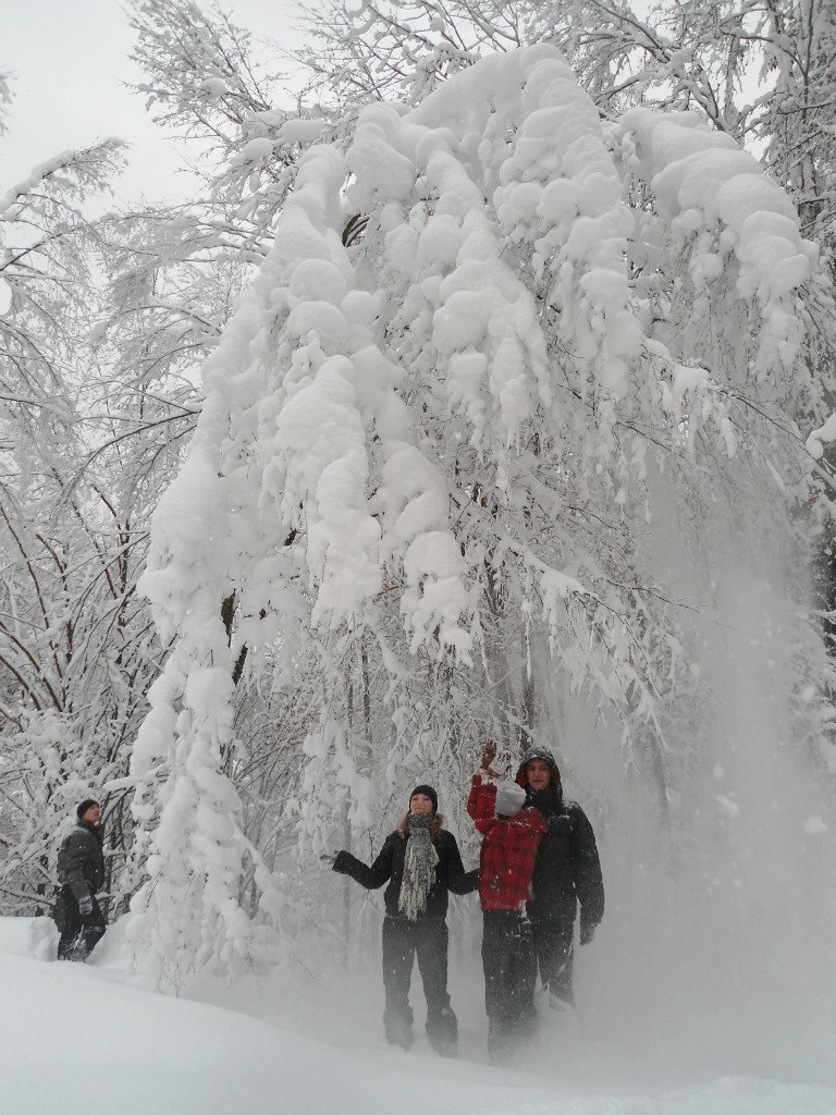 Анастасия Оробей | Киев