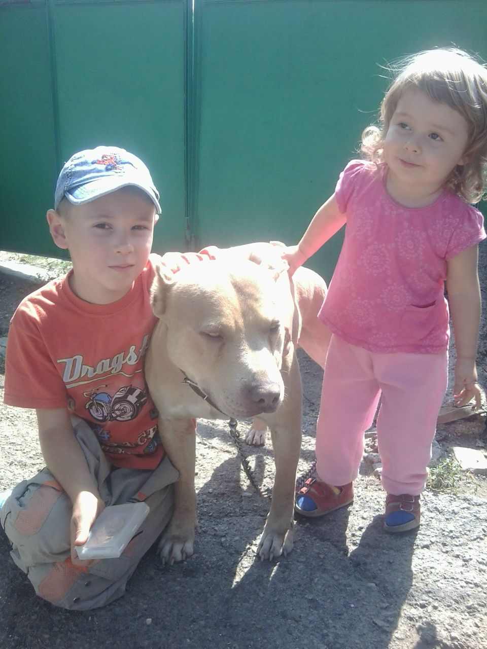 Елена Попель | Феодосия