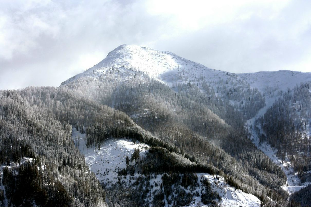 Наталия Ридель | Zittau